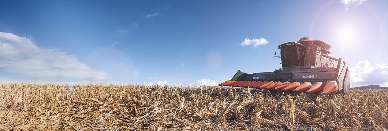 BRUTTUS 25000 e GUAPITA