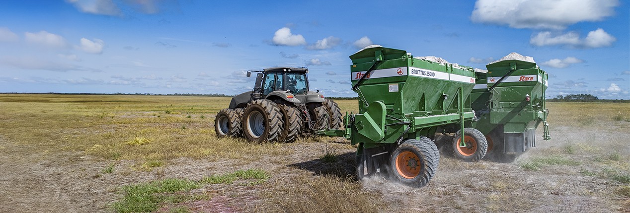 Bruttus 25000