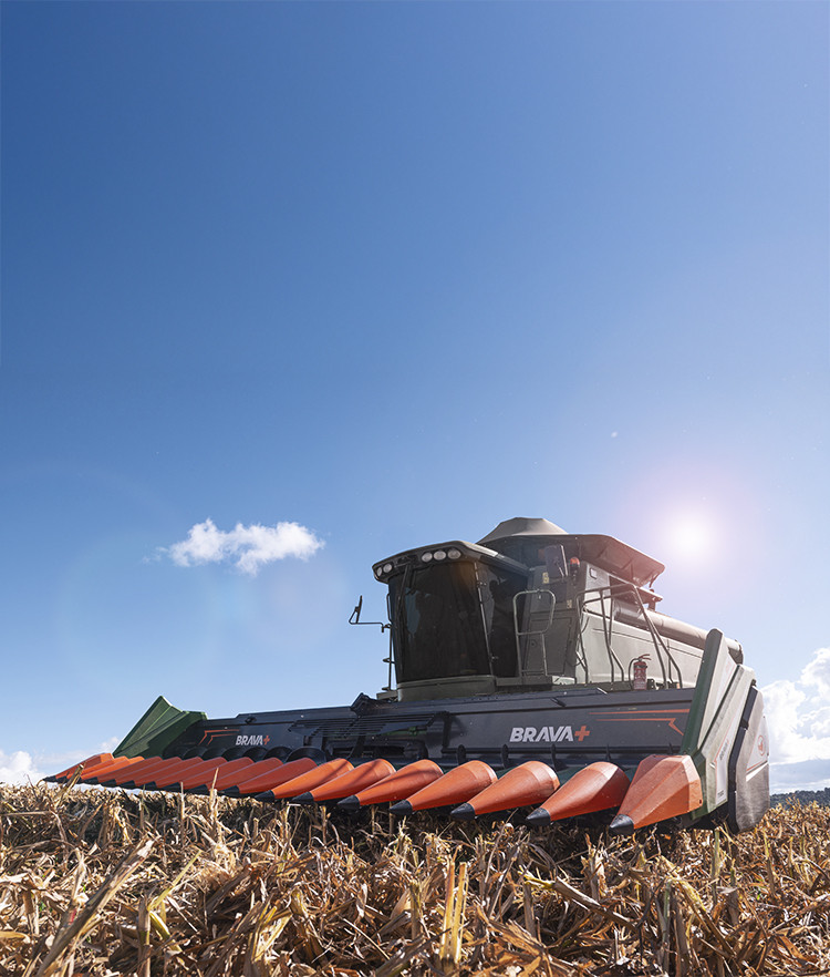 BRUTTUS 25000 e GUAPITA