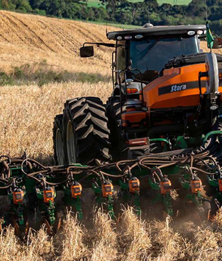 LANÇAMENTO STARA 2026