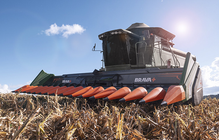 BRUTTUS 25000 e GUAPITA