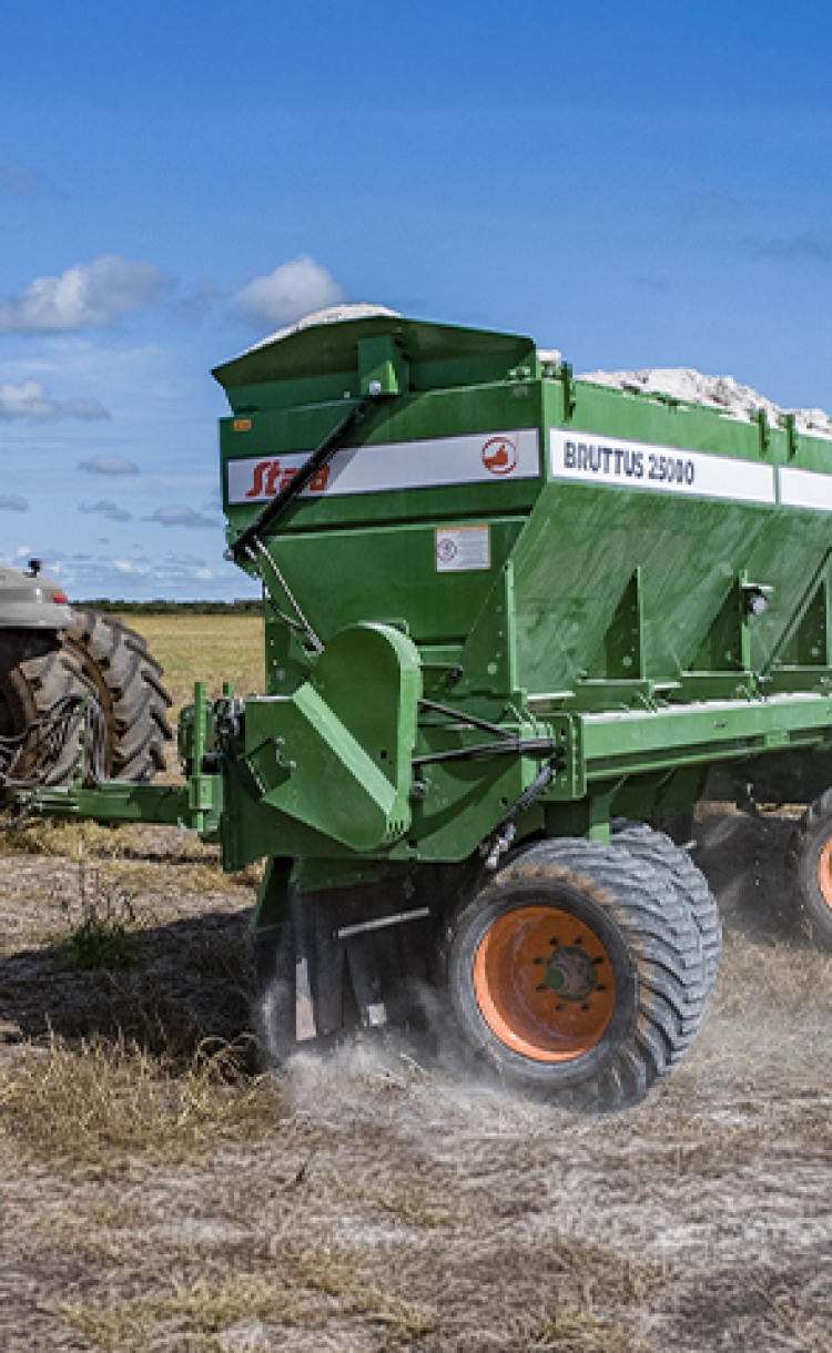 Bruttus 25000