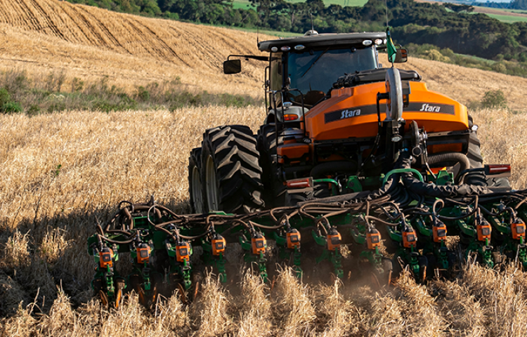 LANÇAMENTO STARA 2026