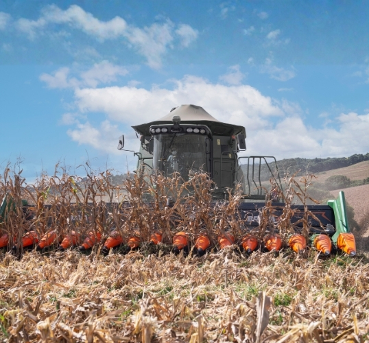 REVISE SUA PLATAFORMA DE MILHO COM CONDIÇÕES ESPECIAIS