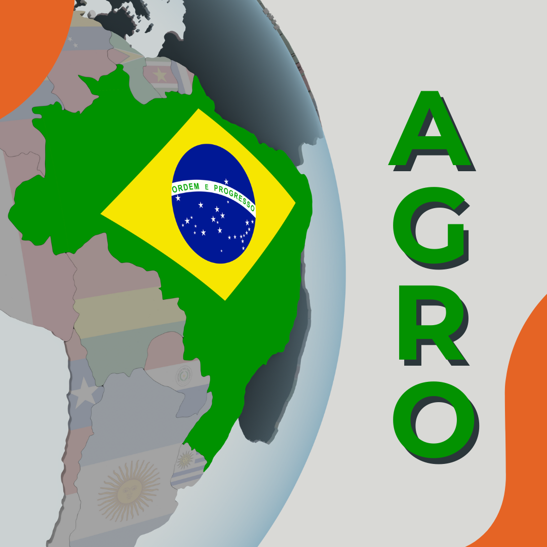 O Peso do Brasil na Mesa Global