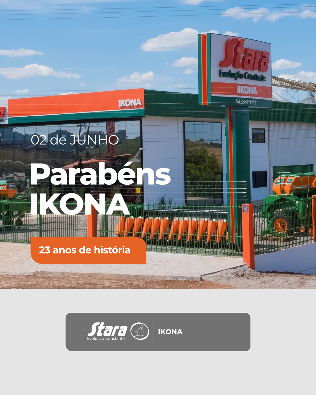 IKONA 23 ANOS