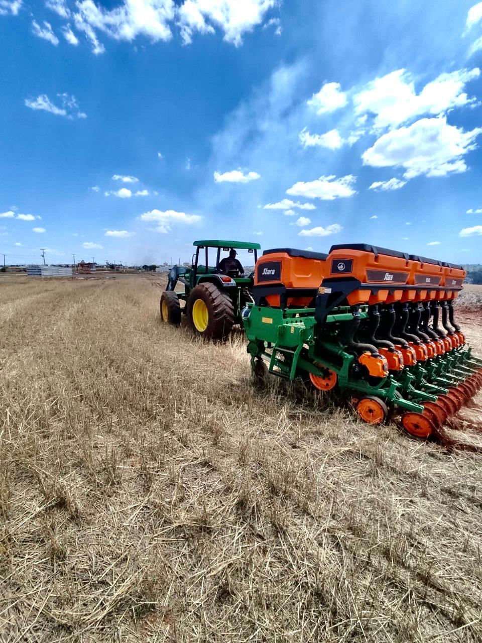 Melhor plantio do Brasil