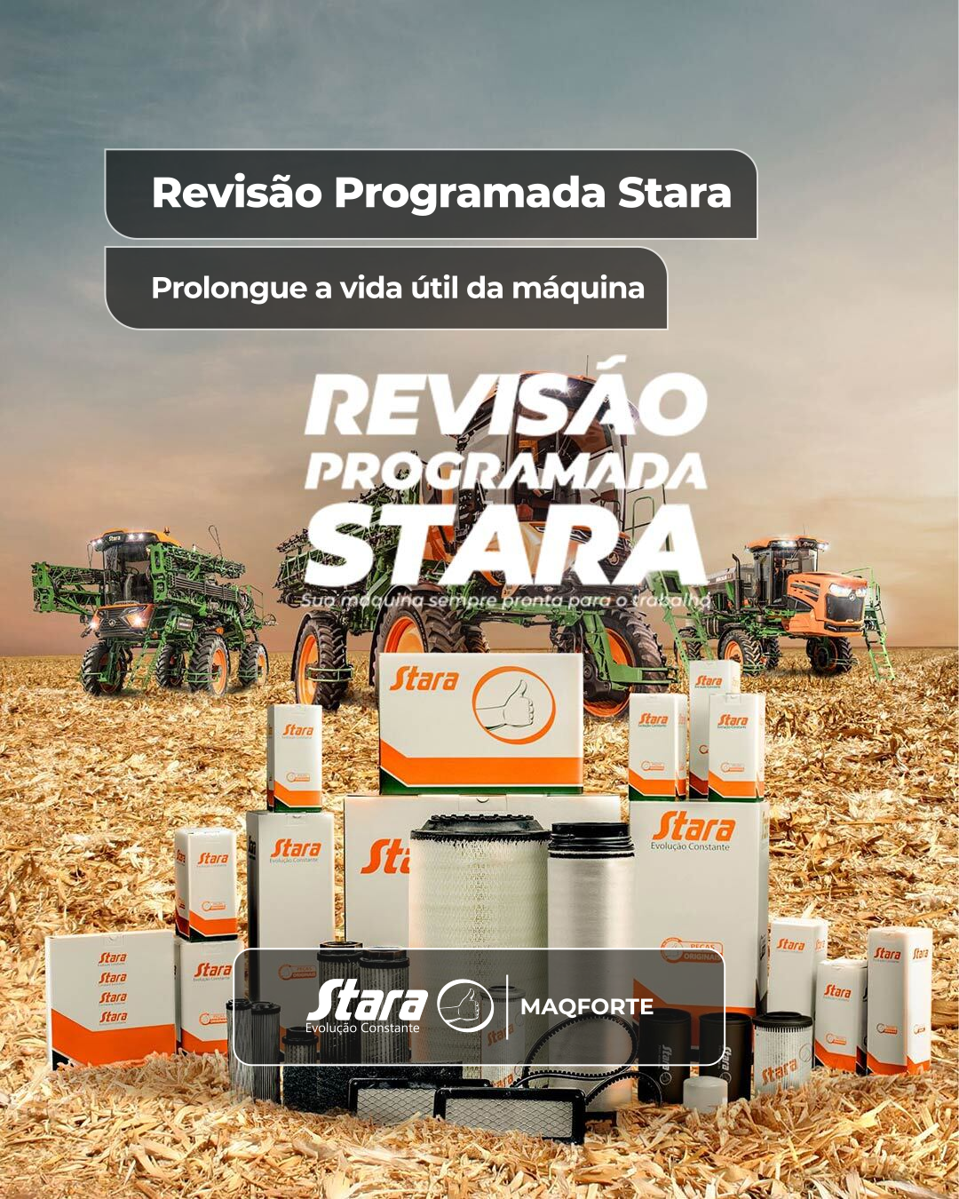 Revisão Programada Stara