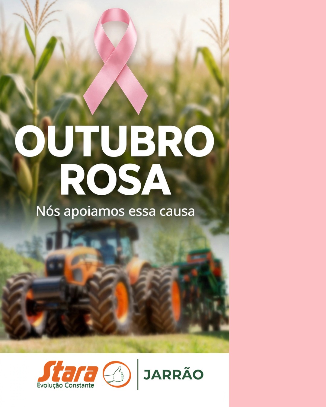 OUTUBRO ROSA.