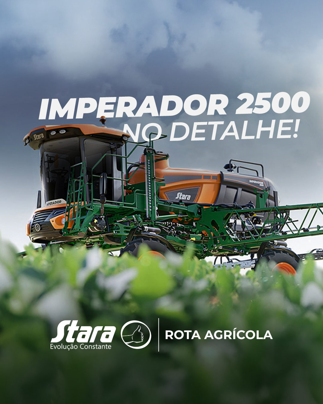 IMPERADOR 2500 NO DETALHE