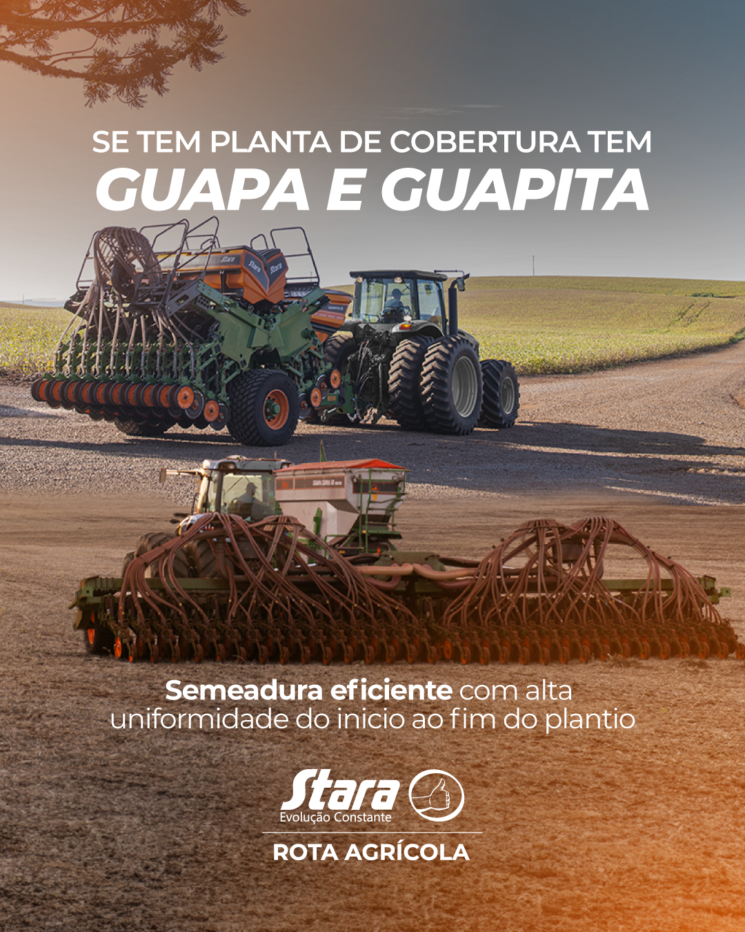 SE TEM PLANTA DE COBERTURA TEM GUAPA E GUAPITA