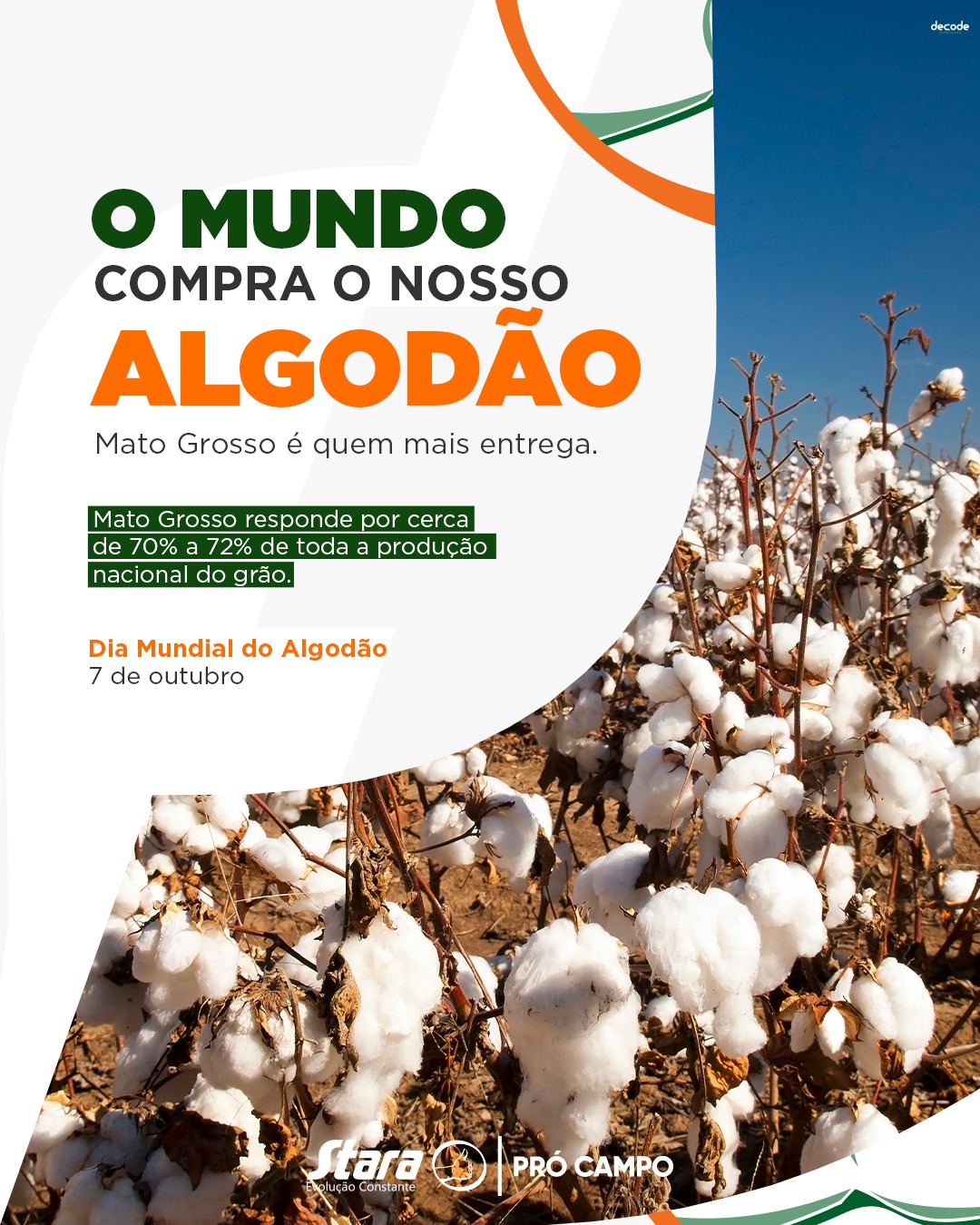 Dia do Algodão