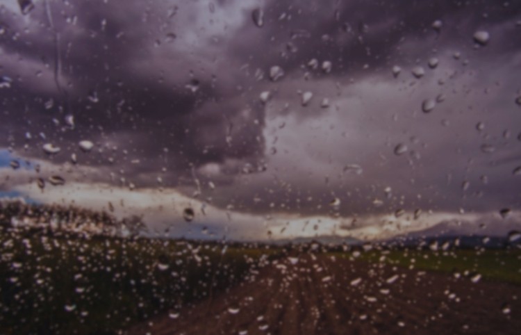EL NIÑO E O MANEJO DA LAVOURA: TECNOLOGIA COMO ALIADA PARA ENFRENTAR OS DESAFIOS DA SAFRA