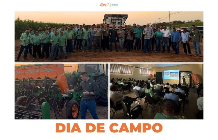 Dia de Campo