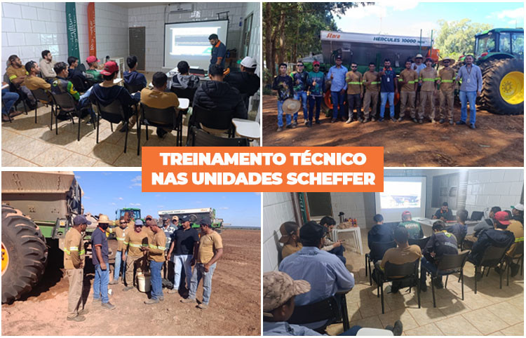 Realizamos um treinamento especializado para equipe Scheffer