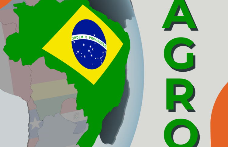 O Peso do Brasil na Mesa Global