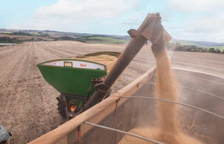 SAFRA EM MOVIMENTO: COMEÇA A COLHEITA NO CENTRO-OESTE GOIANO