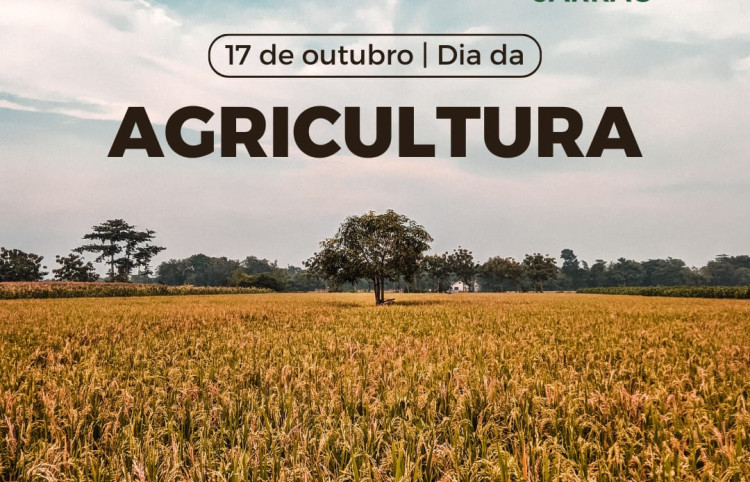 17  de outubro dia da Agricultura!!