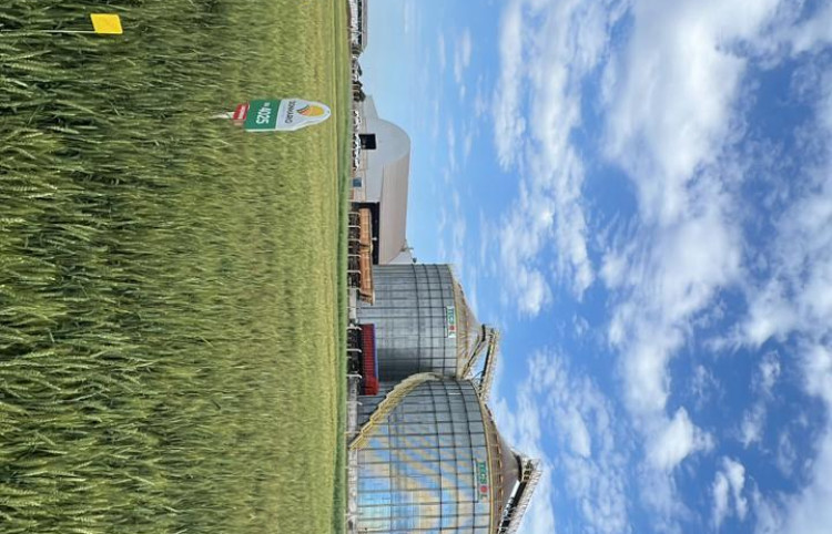 Dia de campo VIERA AGROCEREAIS