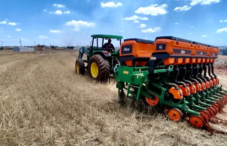 Melhor plantio do Brasil