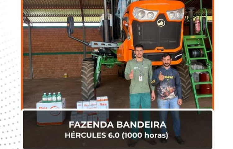 Revisão de 1.000 horas | Hércules 6.0