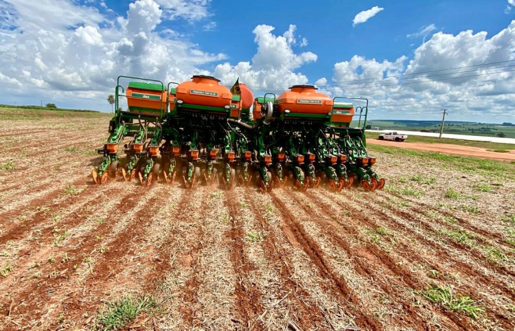 Inicio safra 2025/26