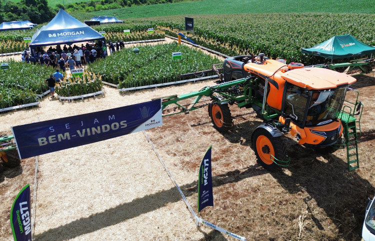 Participação no dia de campo Morgan em Campo