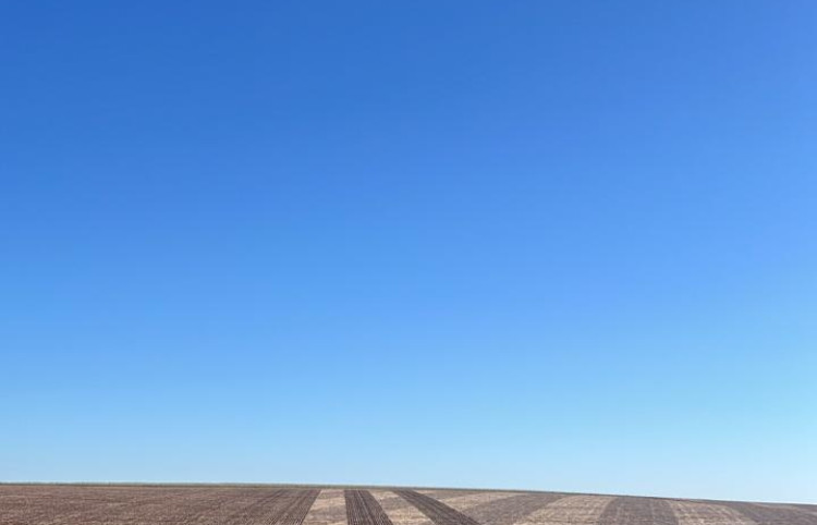 PLANTIO DE SOJA A TODO VAPOR!