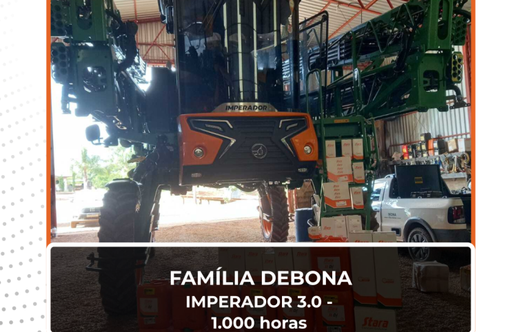 REVISÃO PROGRAMADA STARA