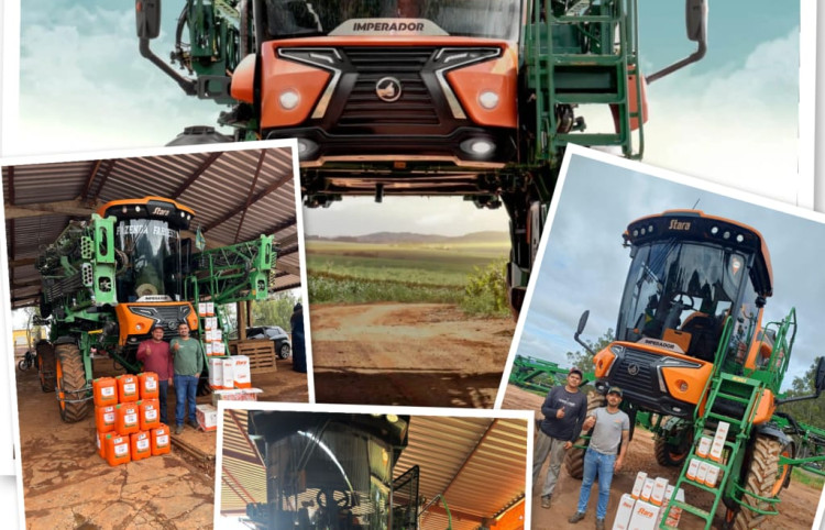 REVISÃO PROGRAMADA !