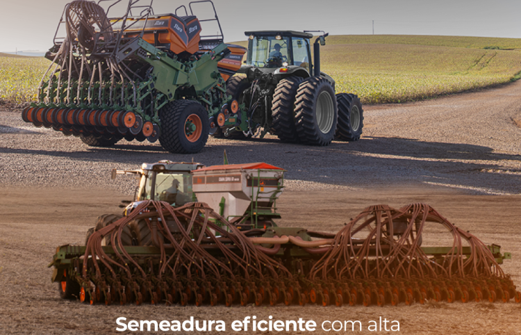 SE TEM PLANTA DE COBERTURA TEM GUAPA E GUAPITA