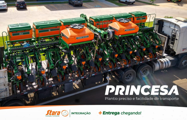 Chegada Princesa