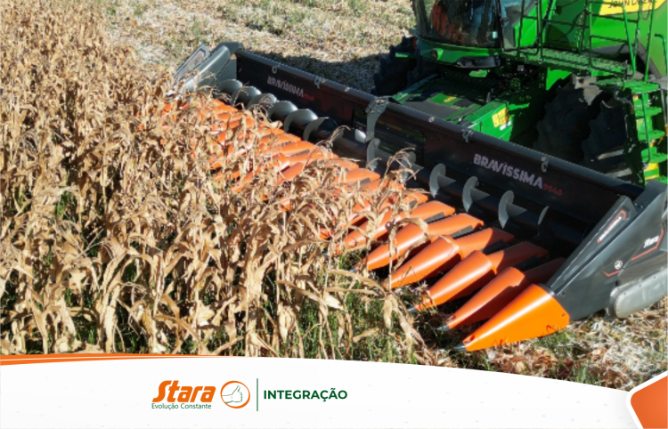 Entrega primeira Bravíssima do Maranhão