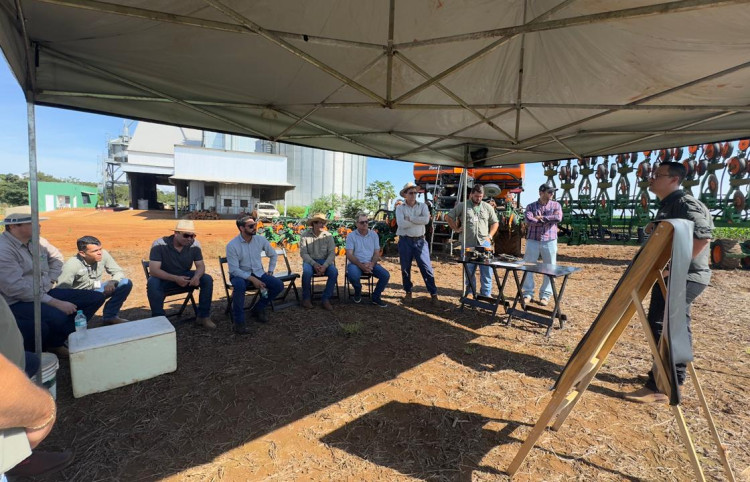 MELHOR PLANTIO DO BRASIL