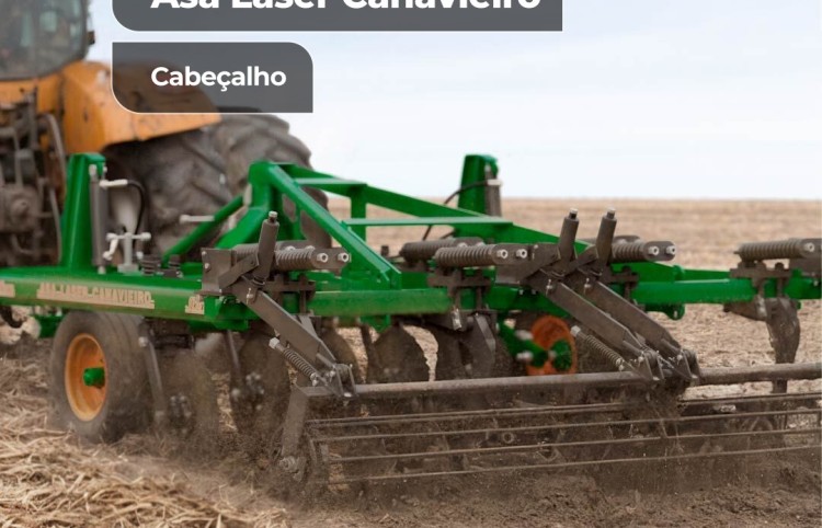 Venha conhecer nosso  Asa Laser Canavieiro