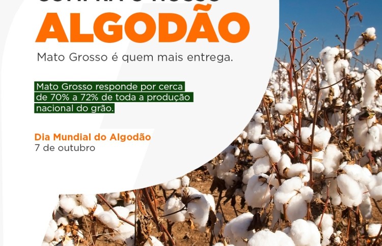 Dia do Algodão