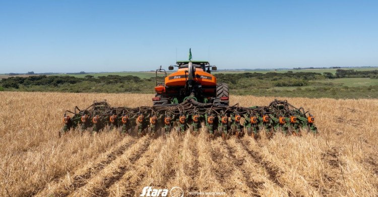 Plantadeira Princesa Stara: Precisão, Tecnologia e Alto Rendimento no Plantio
