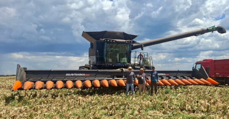 AGRINOVA ENTREGA: BRAVÍSSIMA 11990