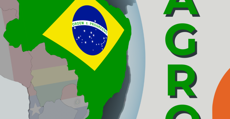 O Peso do Brasil na Mesa Global