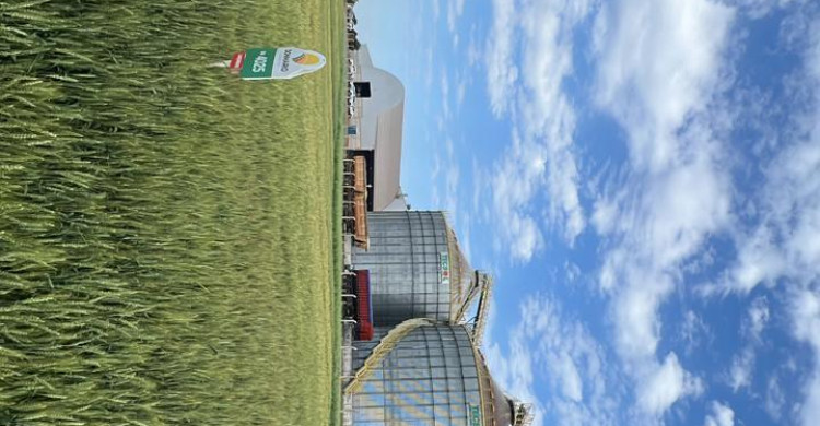 Dia de campo VIERA AGROCEREAIS