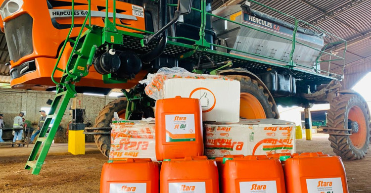 Revisão Programada Stara