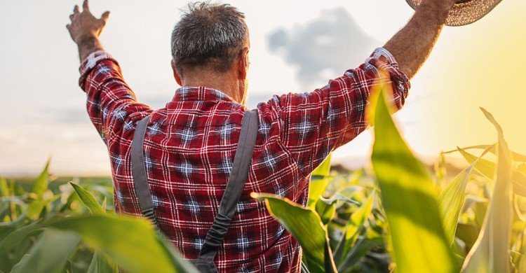 Dia do Agricultor!