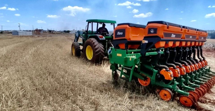 Melhor plantio do Brasil