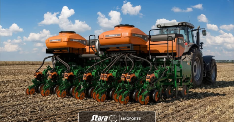 Cinderela: eficiência e precisão no plantio