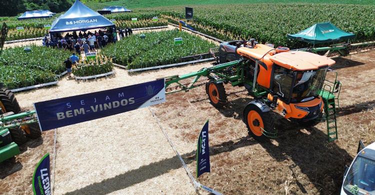 Participação no dia de campo Morgan em Campo