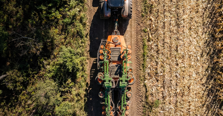 LANÇAMENTO STARA 2026: PRINCESA
