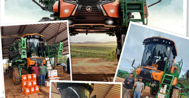 REVISÃO PROGRAMADA !