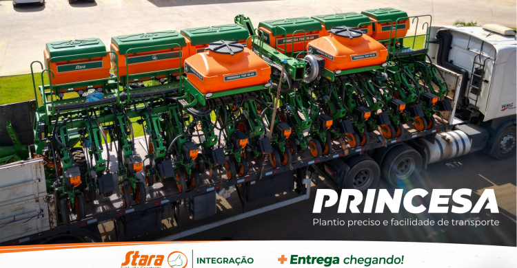 Chegada Princesa