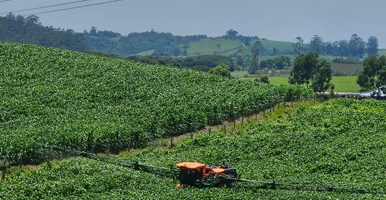 Demosntração de Máquinas