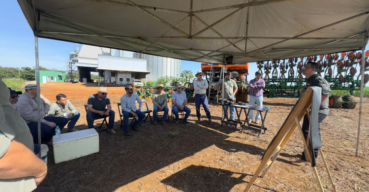 MELHOR PLANTIO DO BRASIL